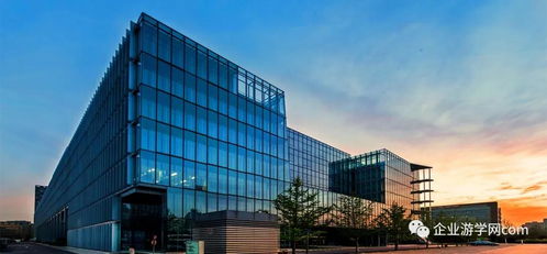 探索“簡單可依賴”的互聯(lián)網(wǎng)搜索產(chǎn)品及美術圖案設計服務